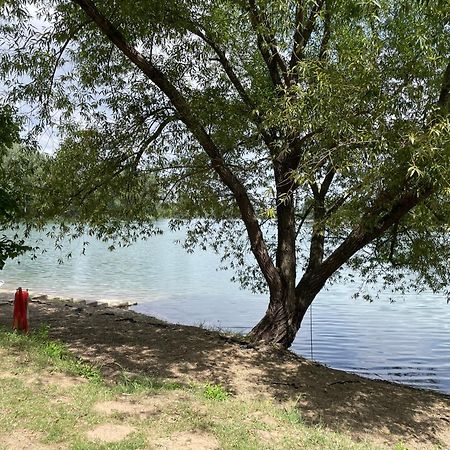 Camping Oaza Fehértemplom Kültér fotó