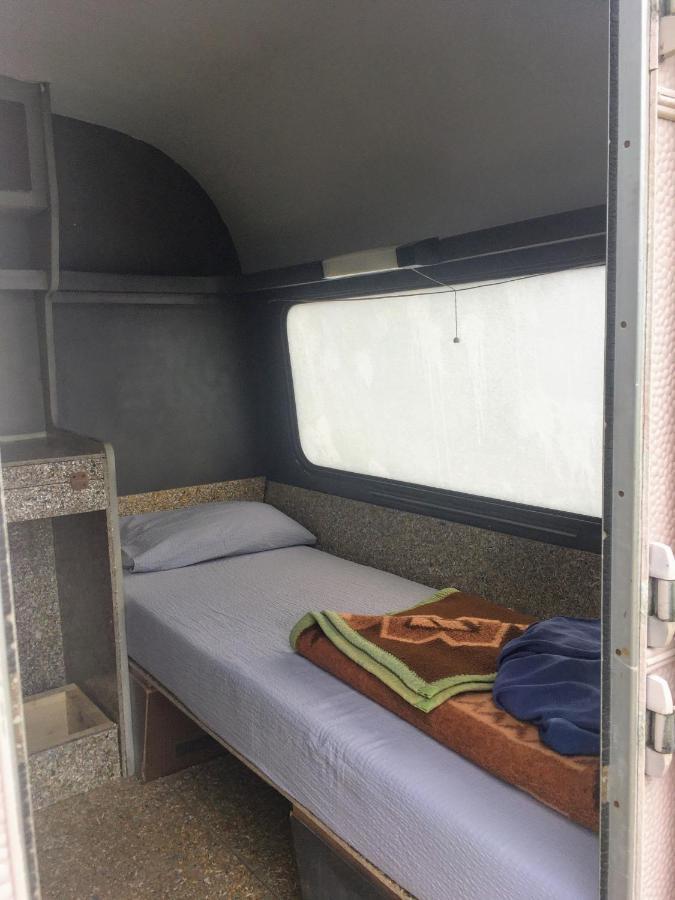 Camping Oaza Fehértemplom Kültér fotó