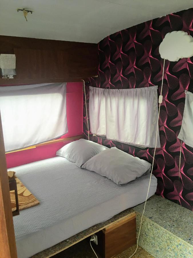 Camping Oaza Fehértemplom Kültér fotó