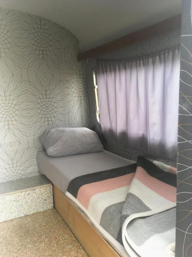 Camping Oaza Fehértemplom Kültér fotó