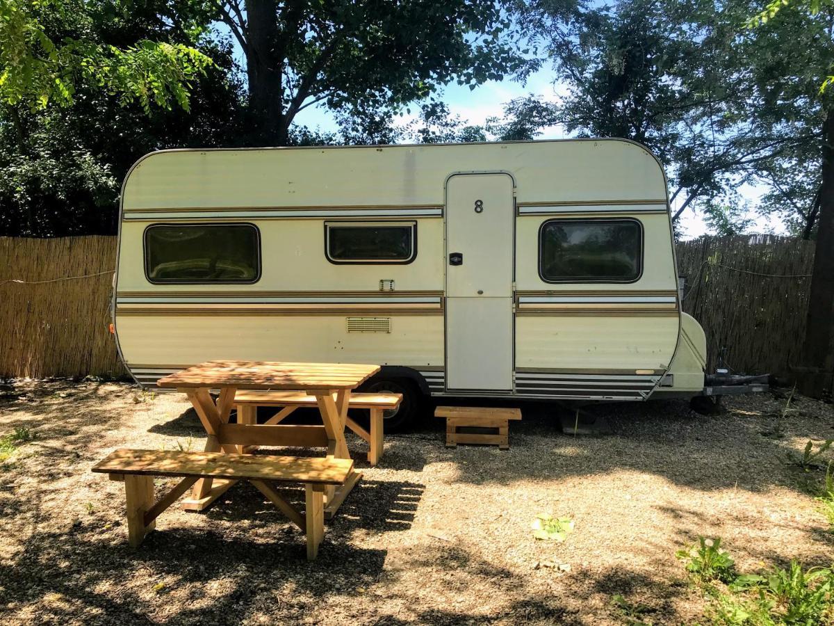 Camping Oaza Fehértemplom Kültér fotó