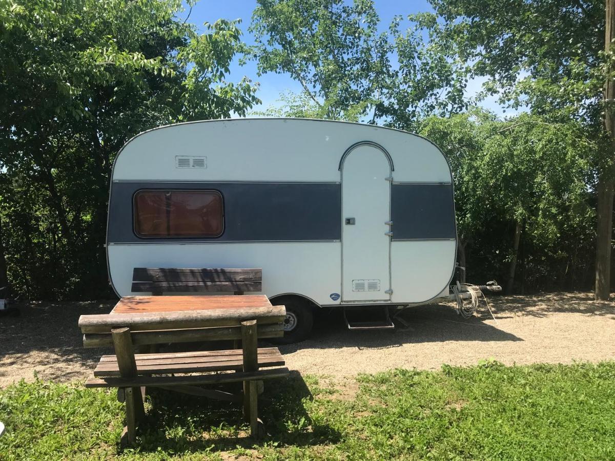 Camping Oaza Fehértemplom Kültér fotó