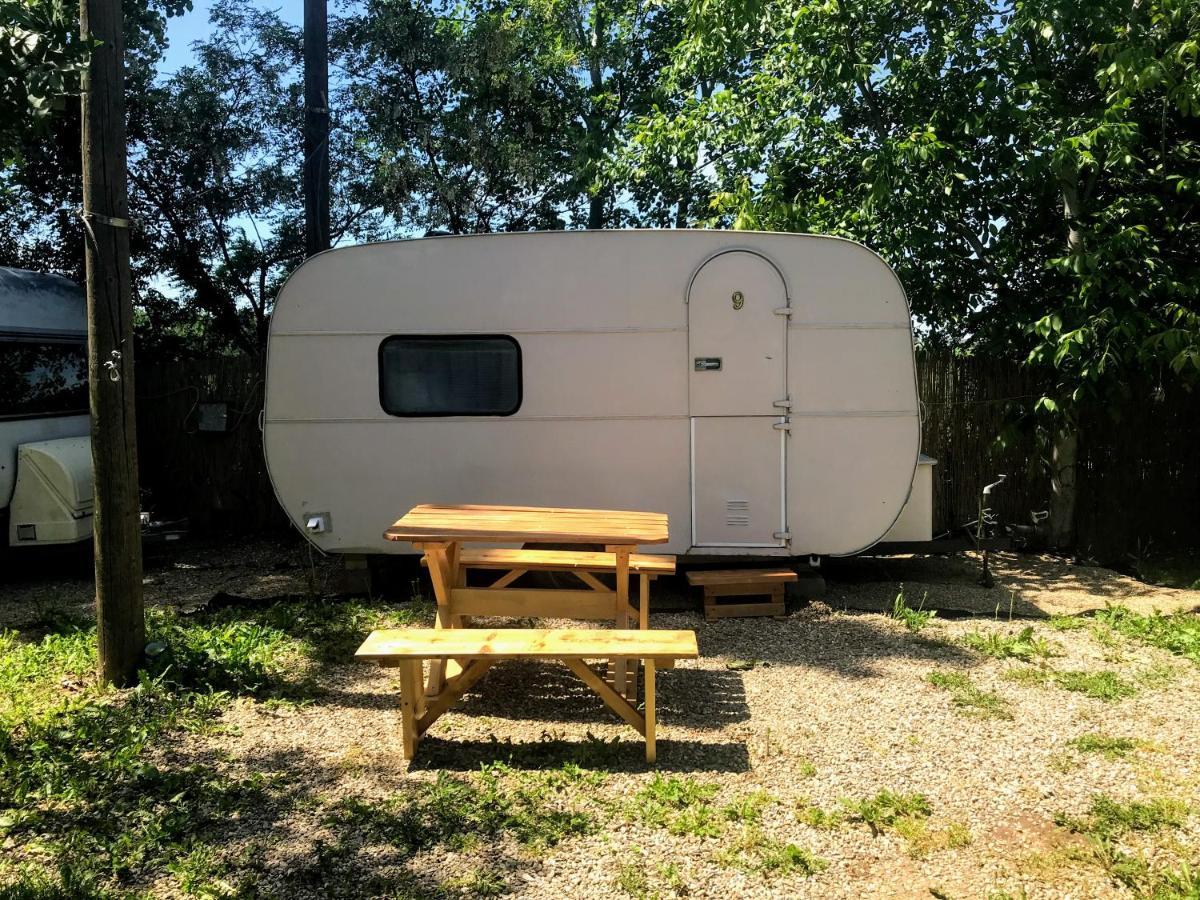 Camping Oaza Fehértemplom Kültér fotó