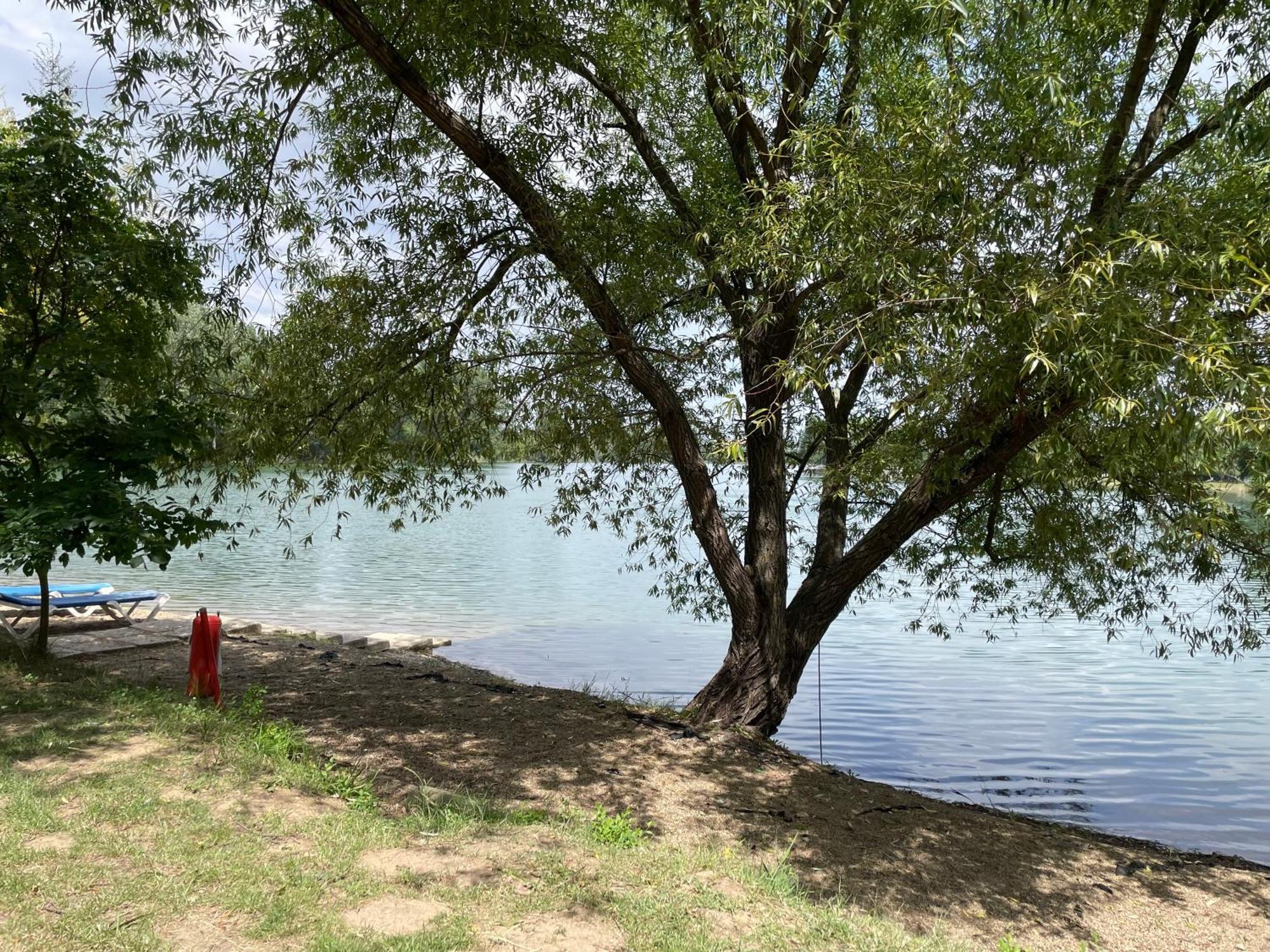 Camping Oaza Fehértemplom Kültér fotó