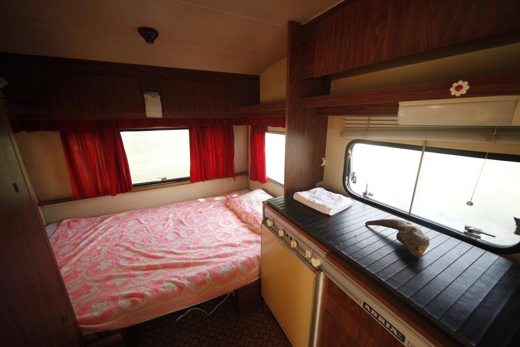 Camping Oaza Fehértemplom Kültér fotó